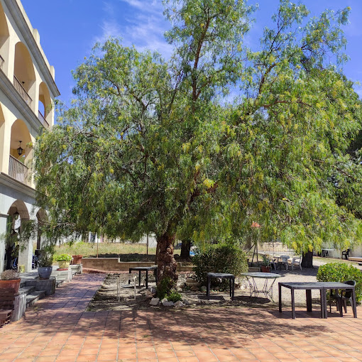 Patio exterior